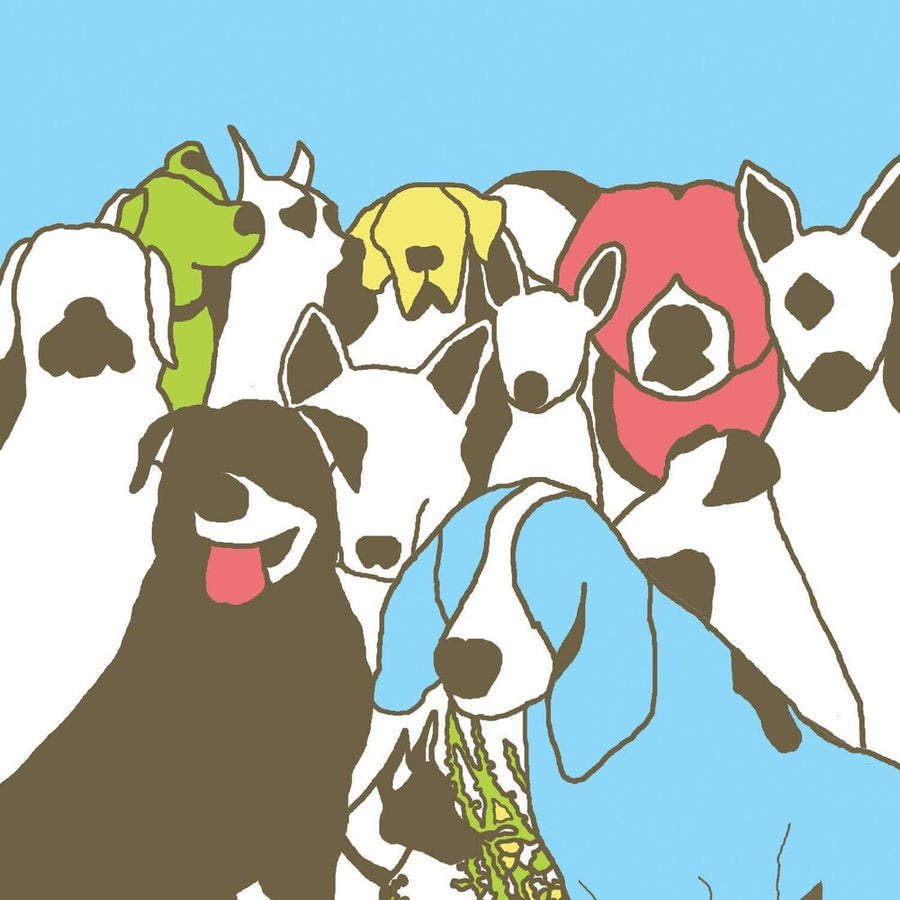 the album cover for The Format - Dog Problems [Indie Exclusive]