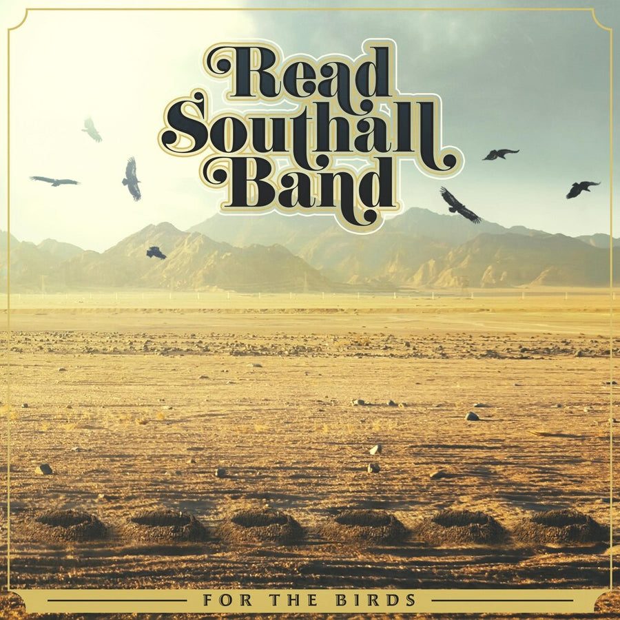 the album cover for SOUTHALL - For The Birds