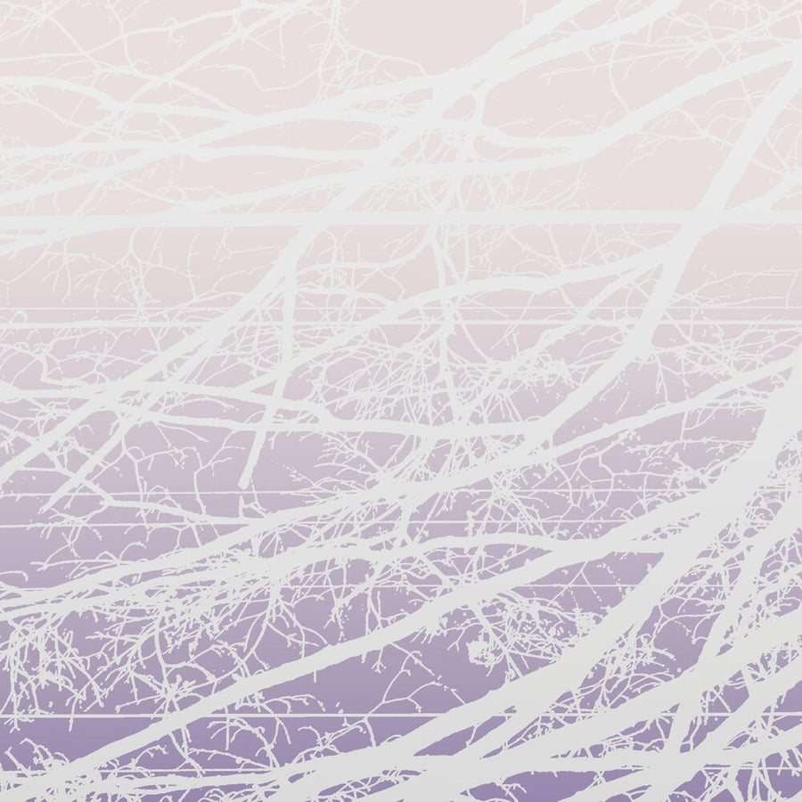 the album cover for Lea Bertucci - Metal Aether / Resonant Field [2LP]