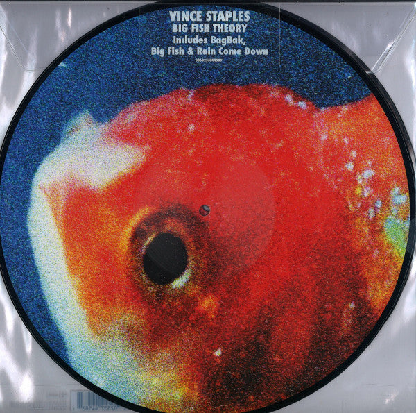 Big Fish Theory - Vince Staples