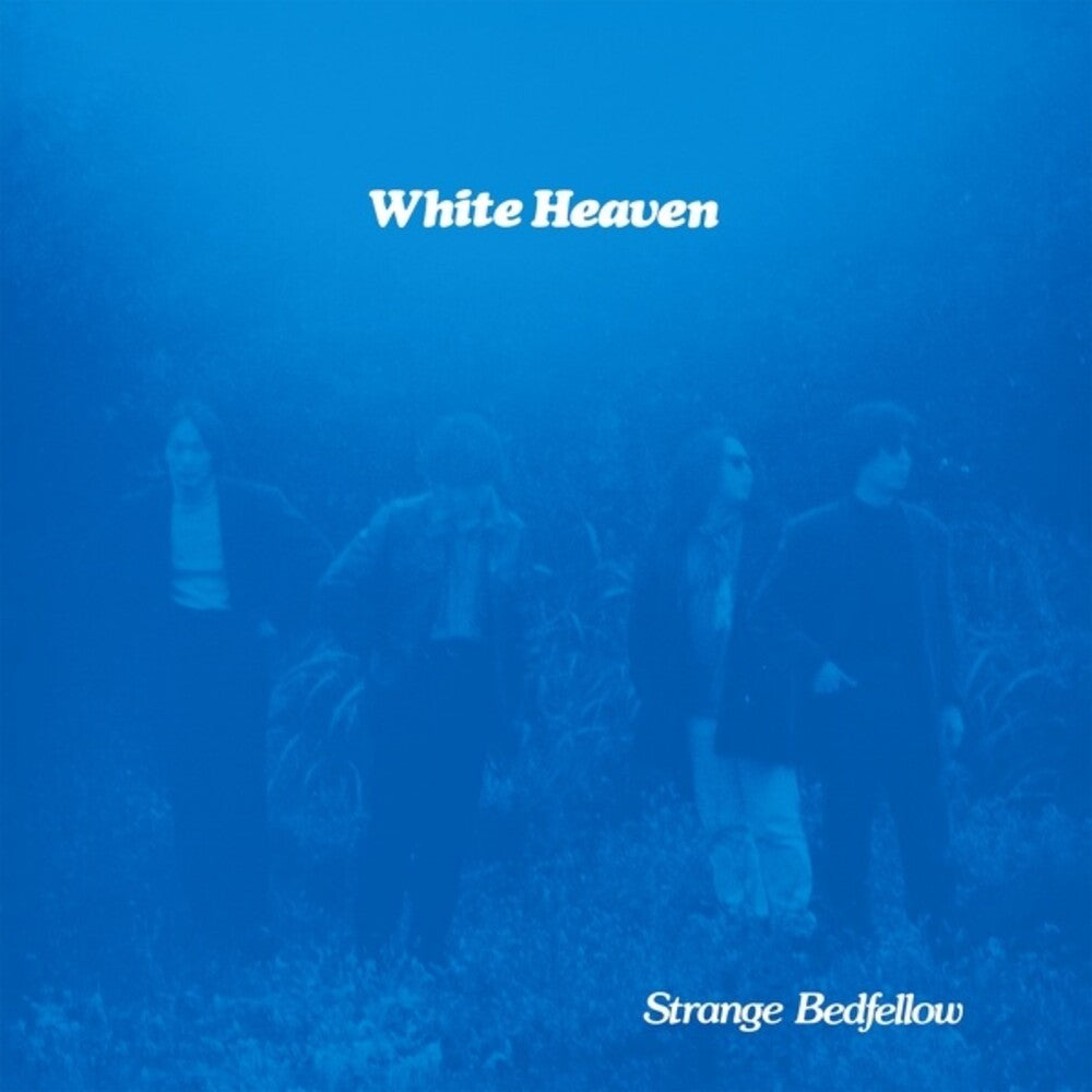 the album cover for White Heaven - Strange Bedfellow