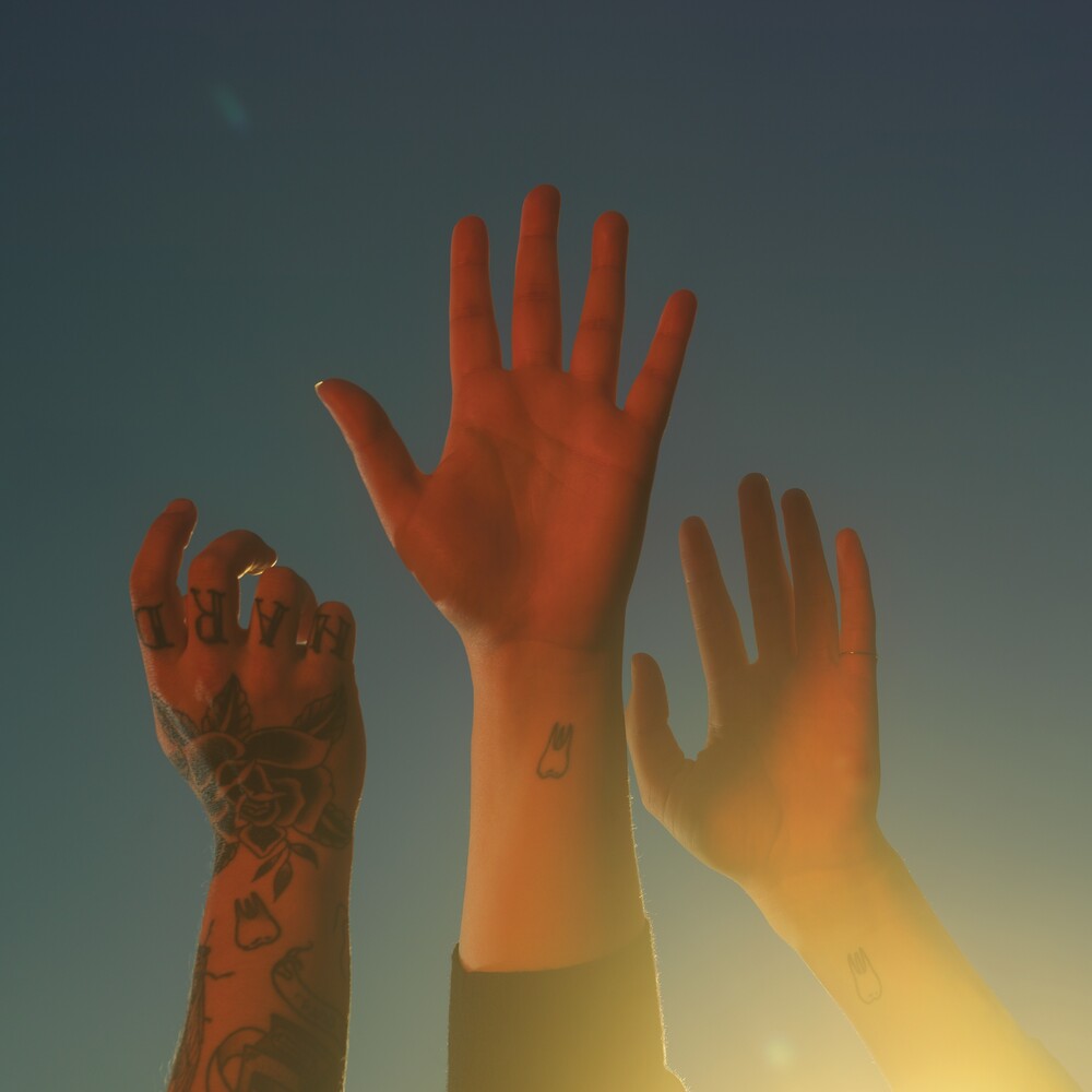 the album cover for boygenius - the record [LP]