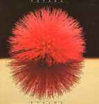 Love Light - Yokokura, Yutaka