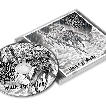 the album cover for Temple of Bones - Walk the Winds