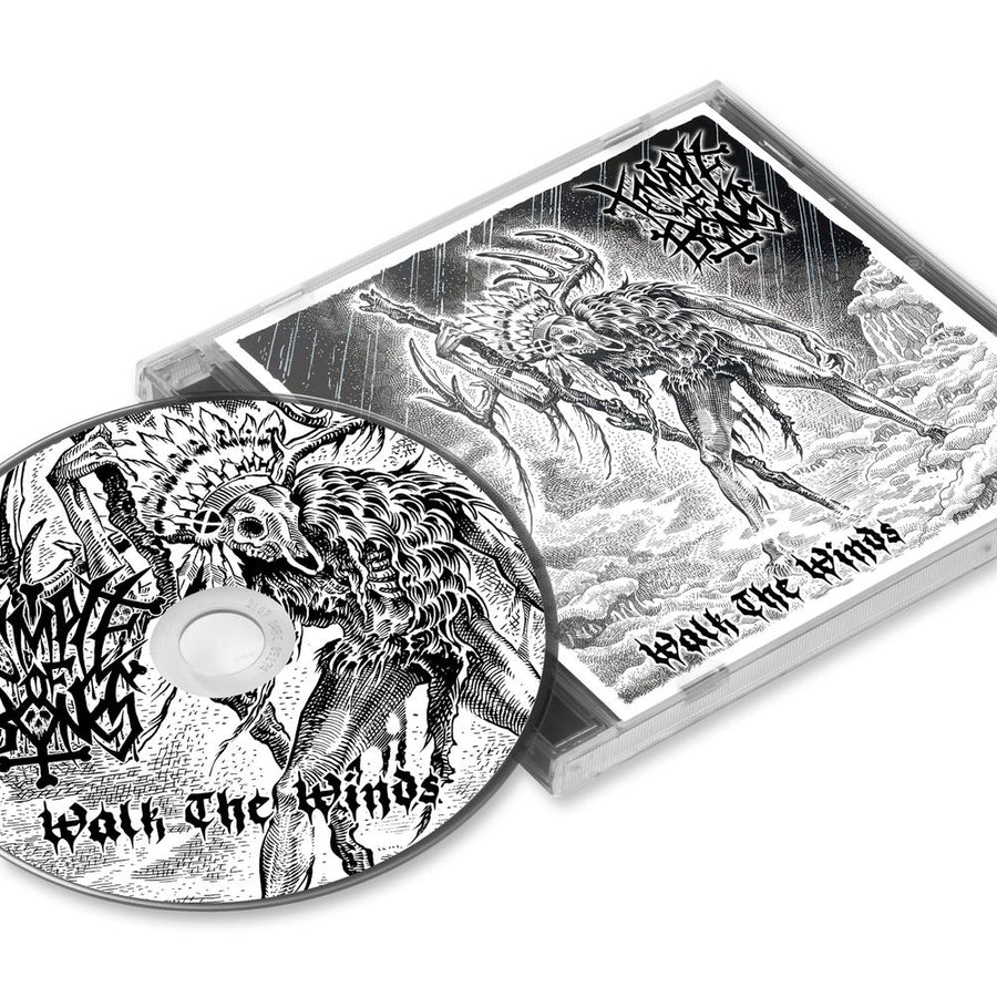 the album cover for Temple of Bones - Walk the Winds