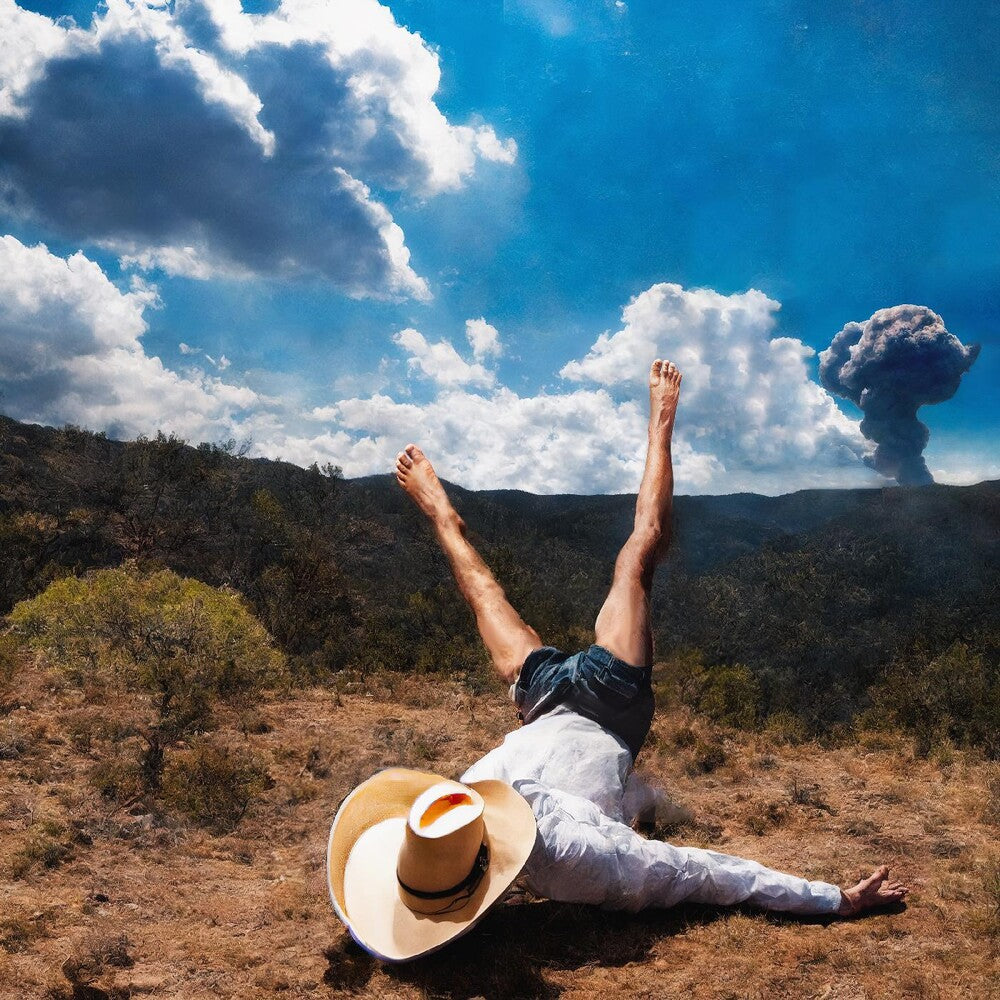 the album cover for Geese - 3D Country