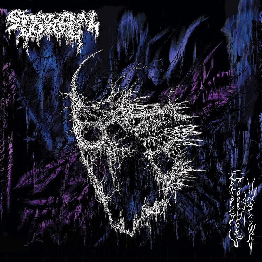 the album cover for Spectral Voice - Eroded Corridors Of Unbeing