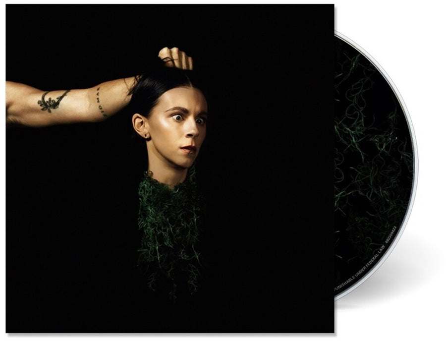 the album cover for PVRIS - Evergreen