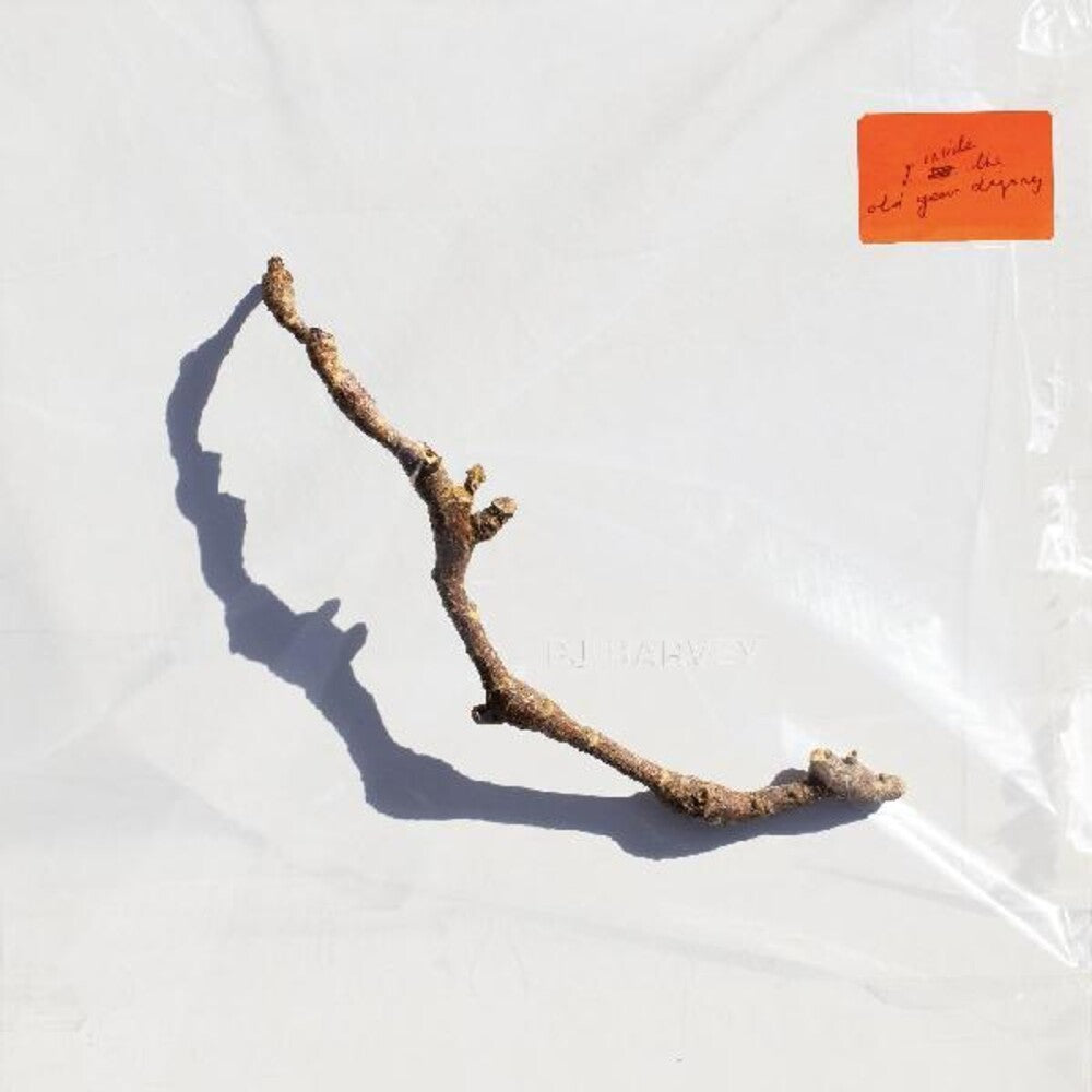 the album cover for PJ Harvey - I Inside the Old Year Dying