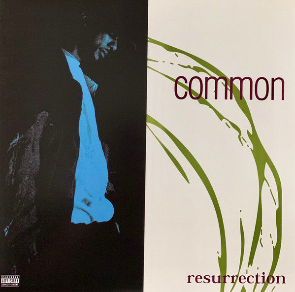 Resurrection - Common