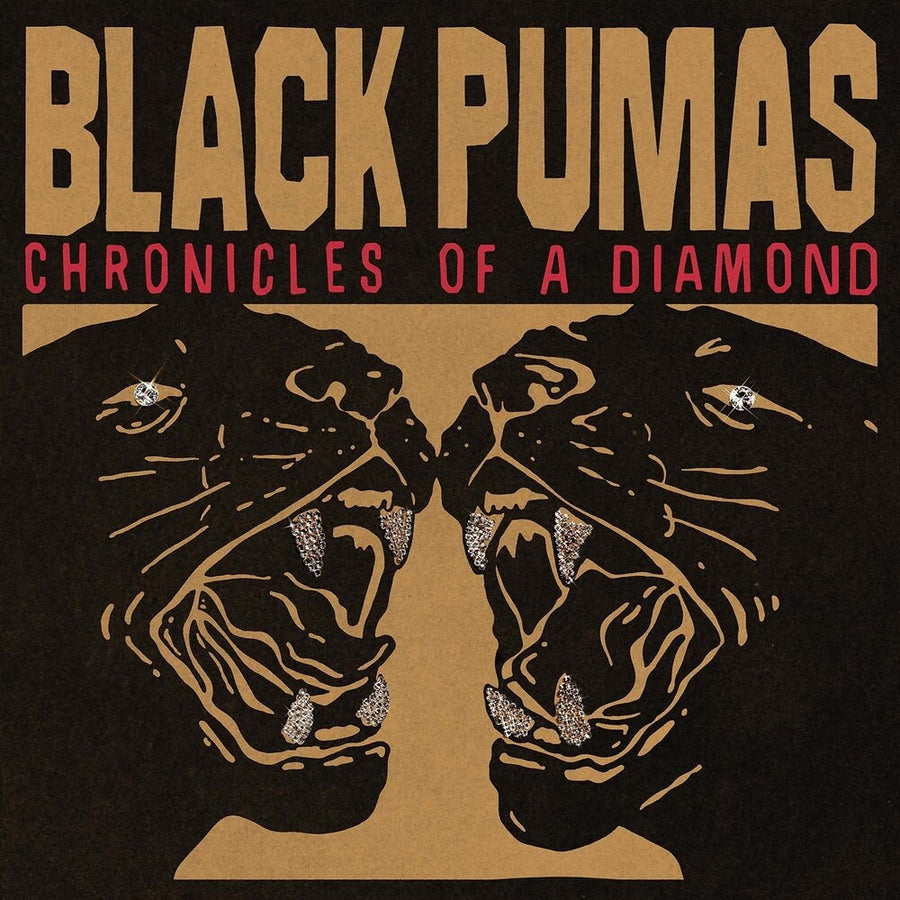 the album cover for Black Pumas - Chronicles Of A Diamond