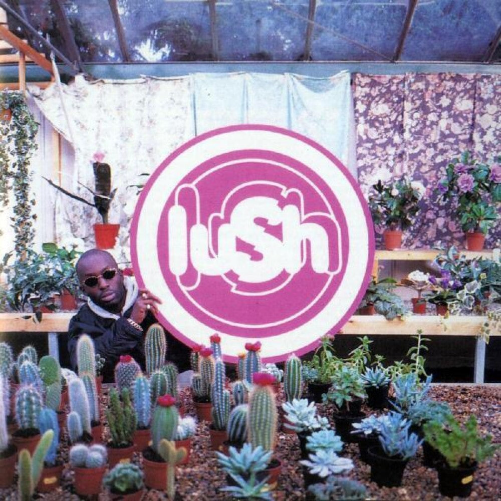 the album cover for Lush - Lovelife