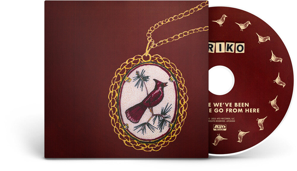the album cover for Friko - Where We've Been, Where We Go From Here