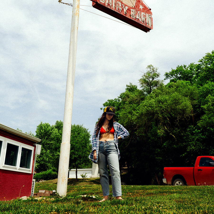 the album cover for Waxahatchee - Tigers Blood