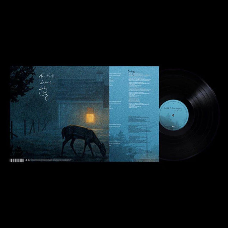 the album cover for Dermot Kennedy - I've Told The Trees Everything (Uk)