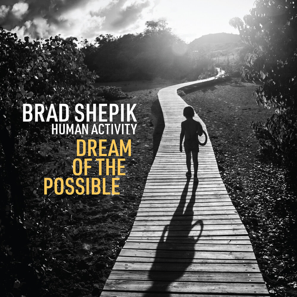 the album cover for Brad Shepik - Human Activity Dream Of The Possible