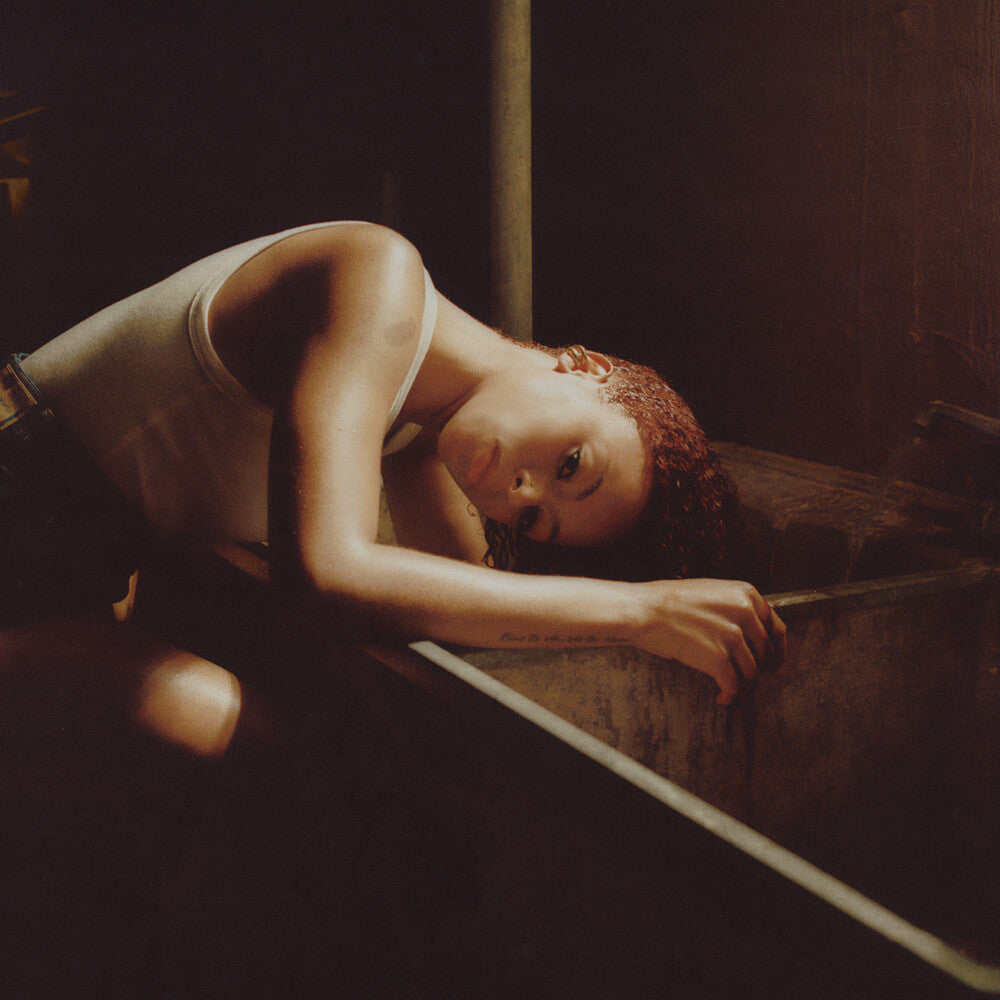 the album cover for Ravyn Lenae - Bird's Eye (Mod)