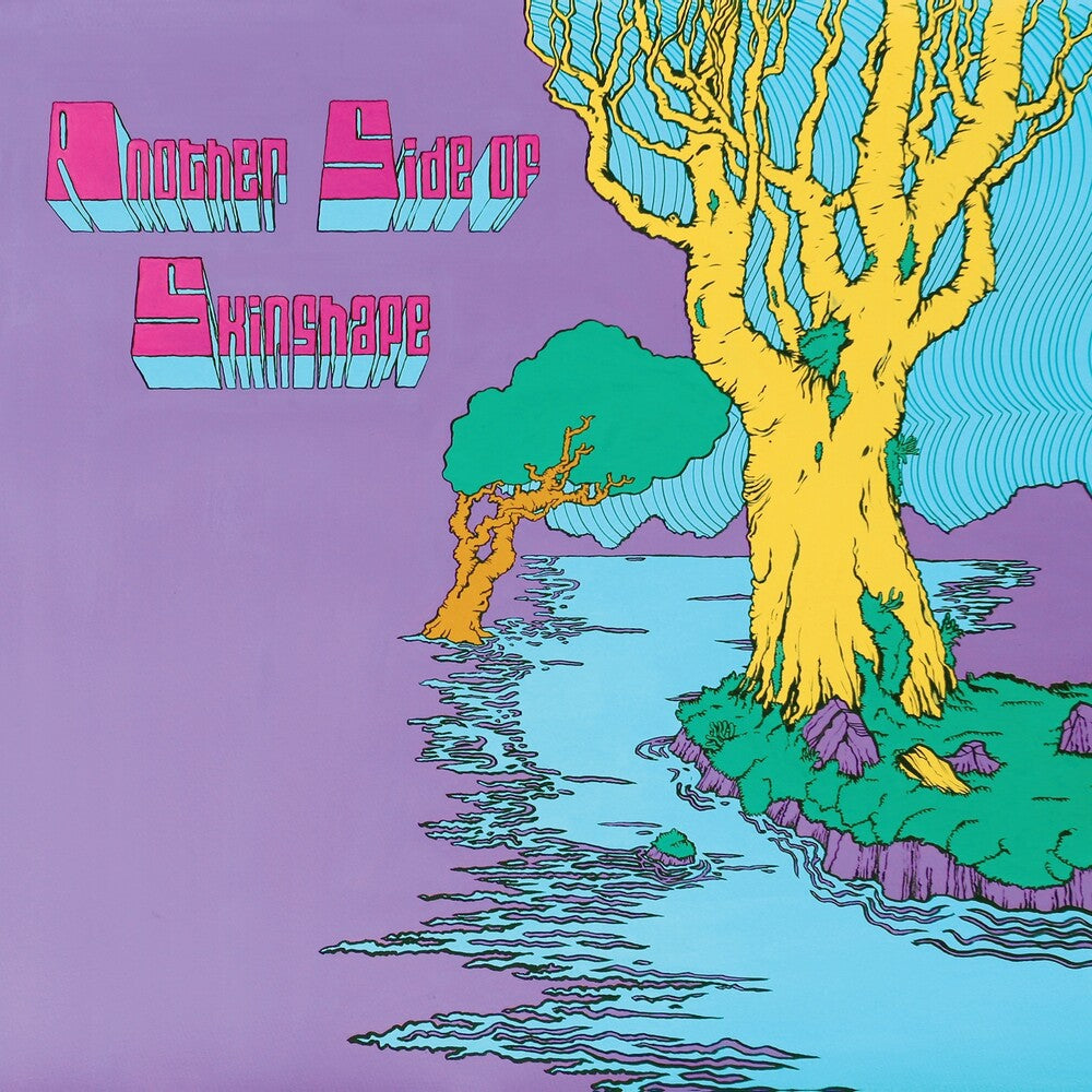 the album cover for Skinshape - Another Side Of Skinshape (Uk)