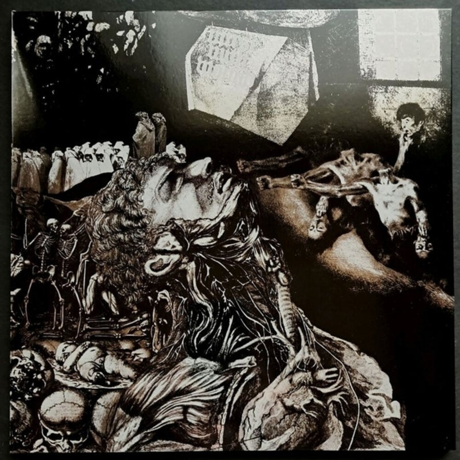 the album cover for Nurse With Wound - Merzbild Schwet