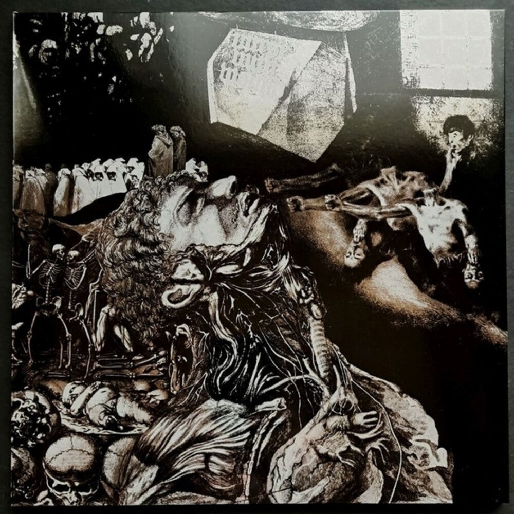 the album cover for Nurse With Wound - Merzbild Schwet [Colored]