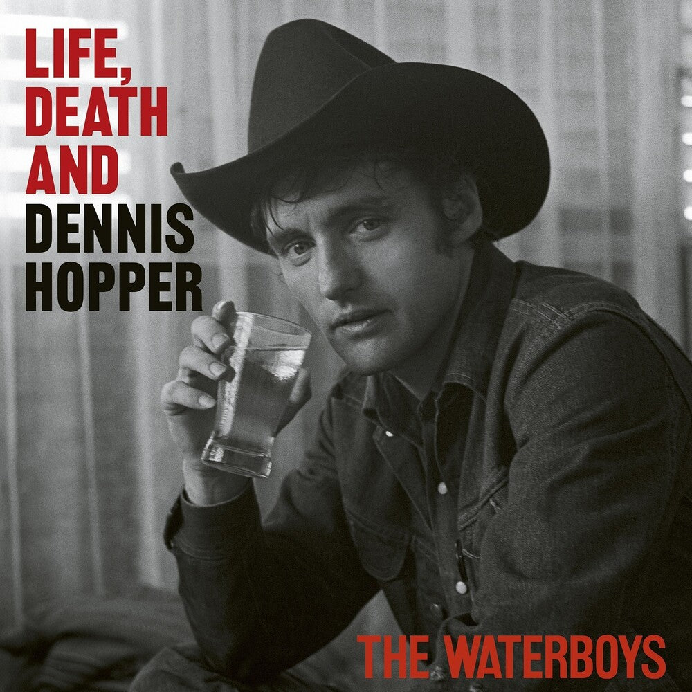 the album cover for Waterboys - Life Death And Dennis Hopper