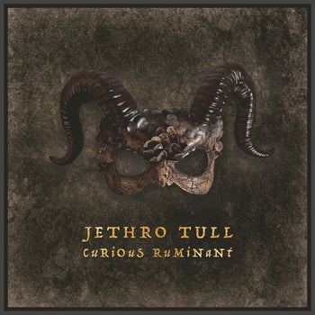 the album cover for Jethro Tull - Curious Ruminant [Digipak]
