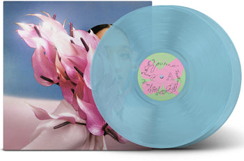 the album cover for Raveena - Where The Butterflies Go In The Rain - Deluxe