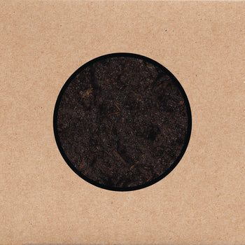 the album cover for Swans - Birthing
