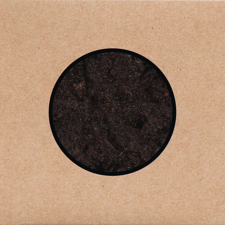 the album cover for Swans - Birthing