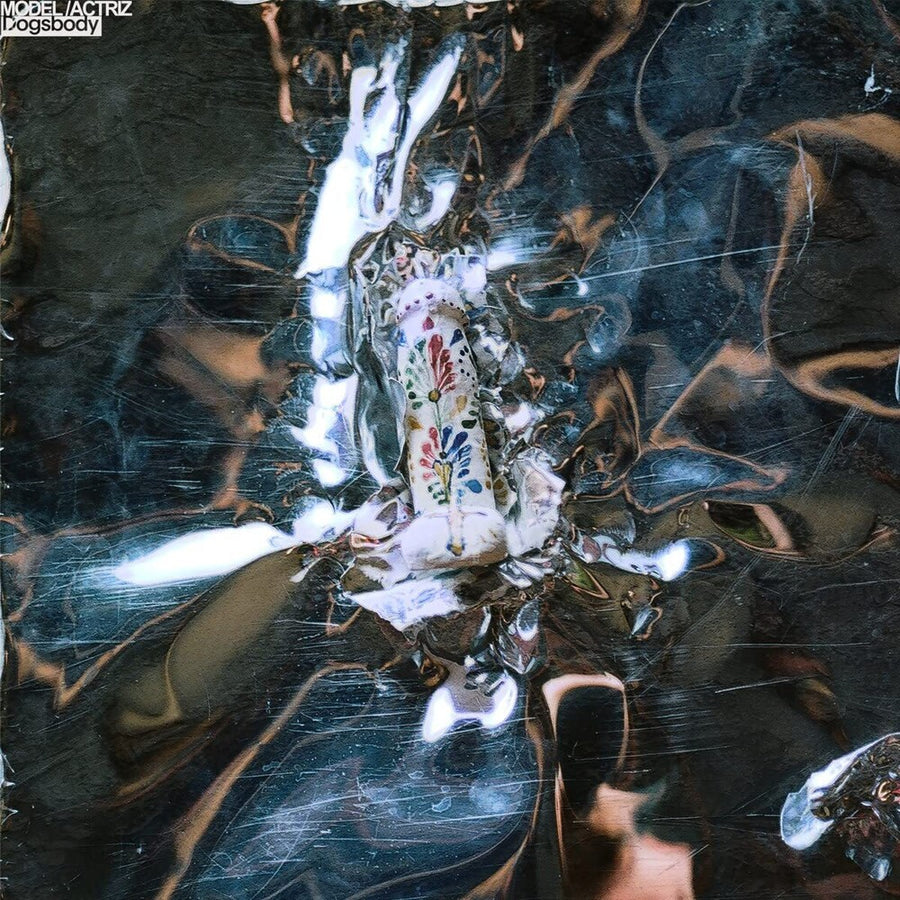 the album cover for Model/Actriz - Dogsbody