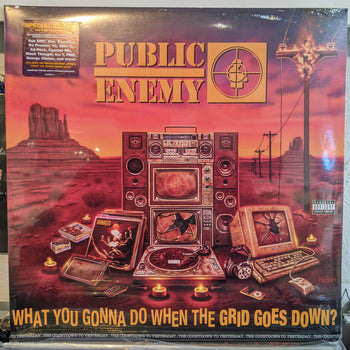 What You Gonna Do When The Grid Goes Down? - Public Enemy