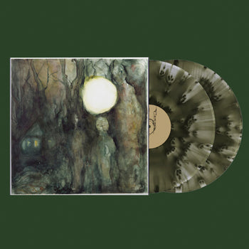 the album cover for Quadeca - Didn't Mean To Haunt You [Colored Vinyl] (Grn)