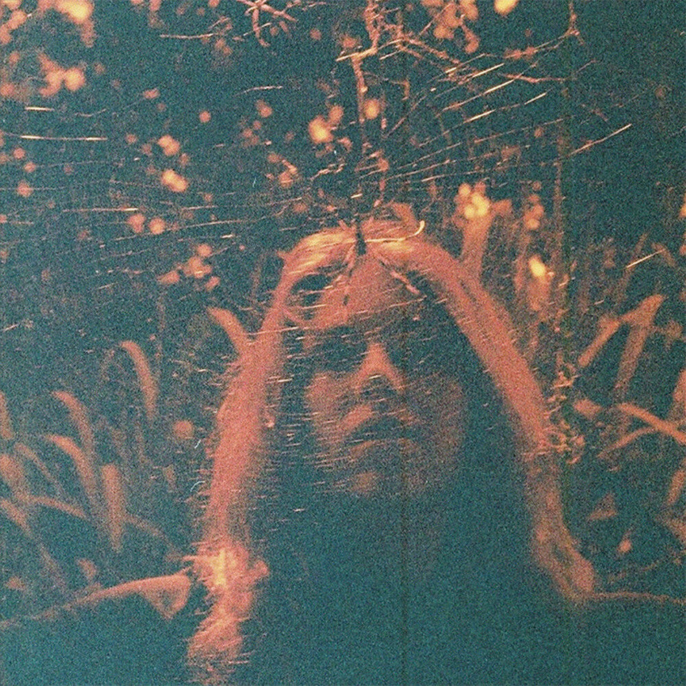 the album cover for Turnover - Peripheral Vision (Can)