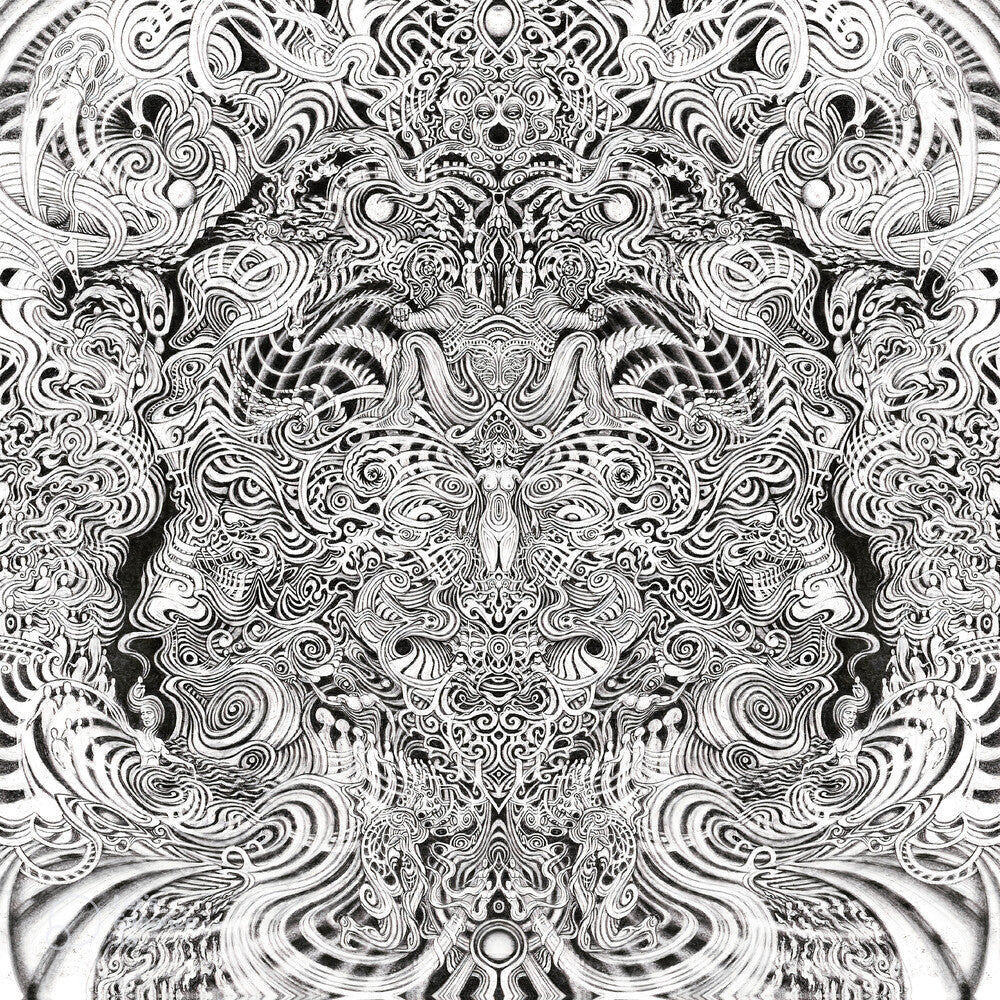 the album cover for Gaupa - Fyr [Digipak]