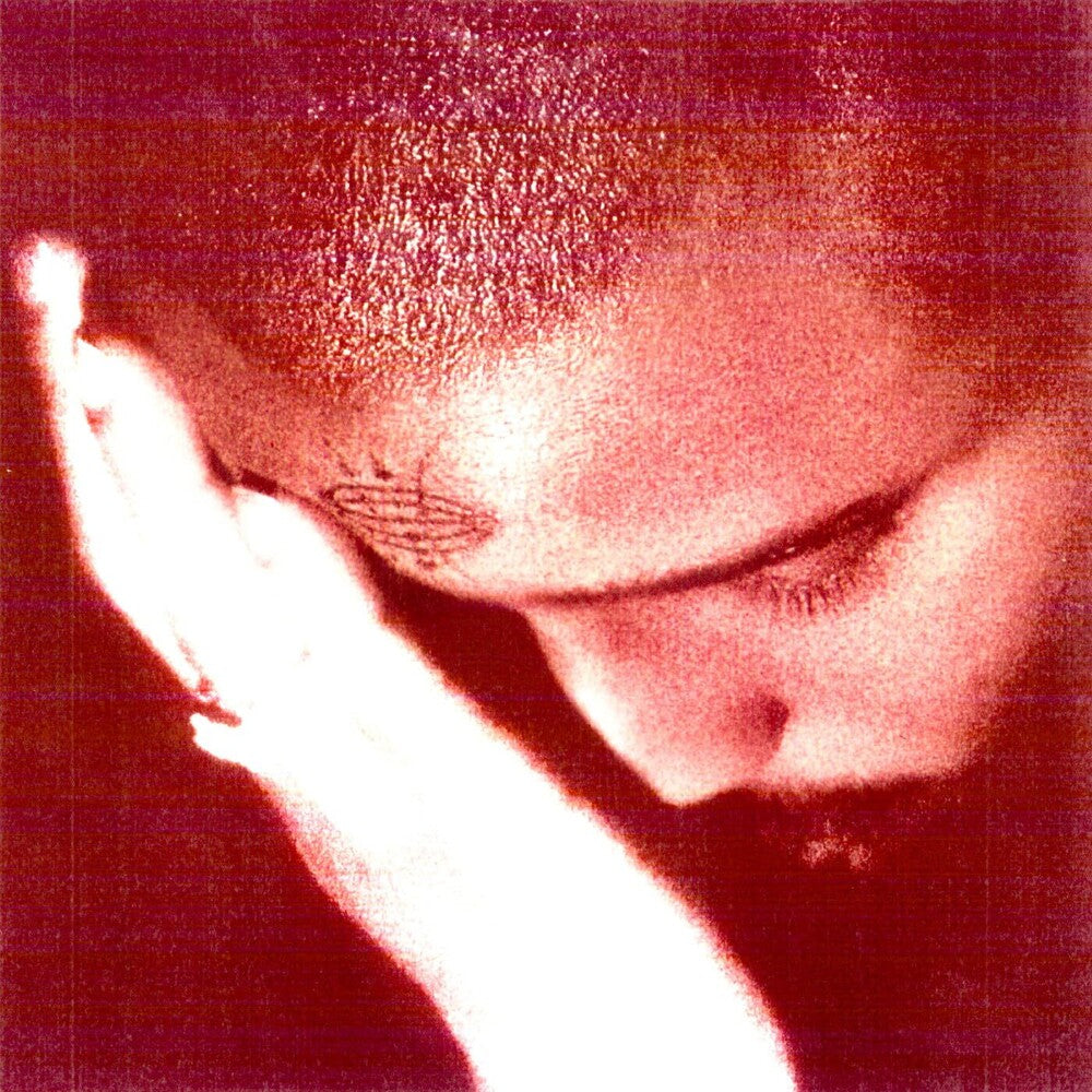 the album cover for Nourished by Time - The Passionate Ones