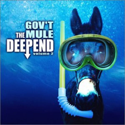 the album cover for Gov't Mule - Deep End 2