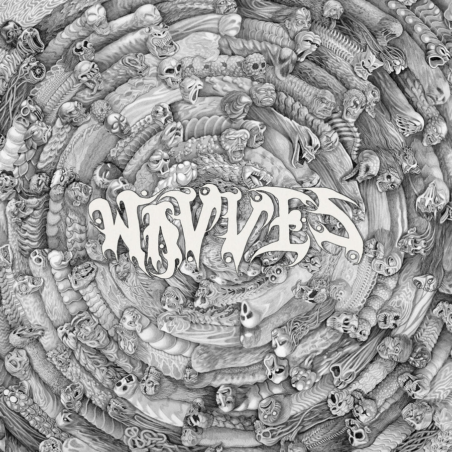 the album cover for Wavves - Spun