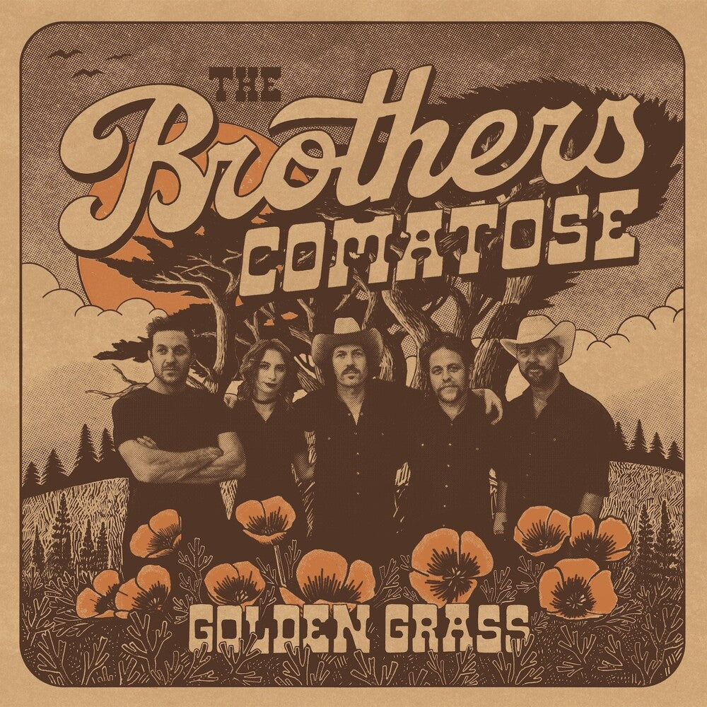 the album cover for Brothers Comatose - Golden Grass