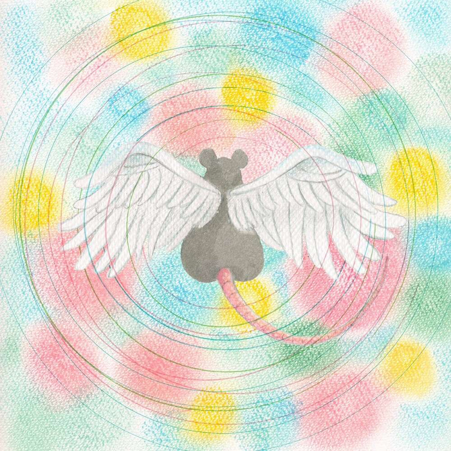 the album cover for Mei Semones - Animaru