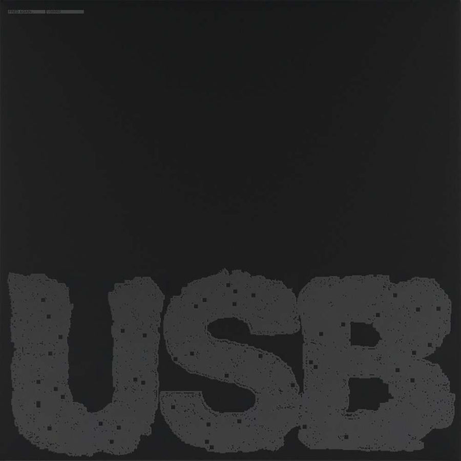 the album cover for Fred again.. - USB002