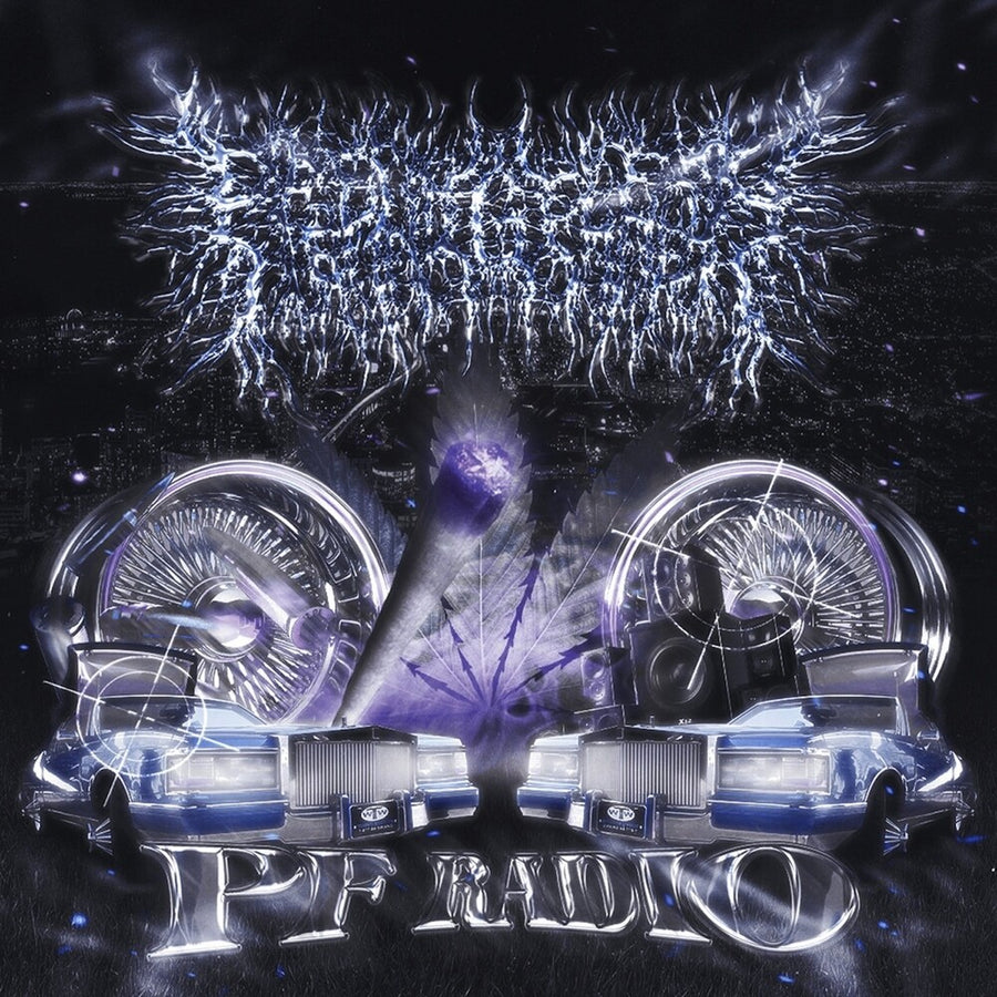 the album cover for Peelingflesh - Pf Radio