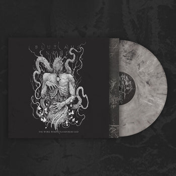 the album cover for Blut Aus Nord - Work Which Transforms God (Slip)