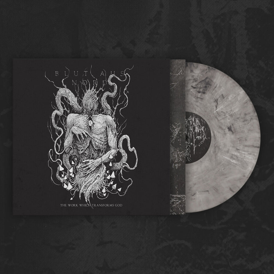 the album cover for Blut Aus Nord - Work Which Transforms God (Slip)