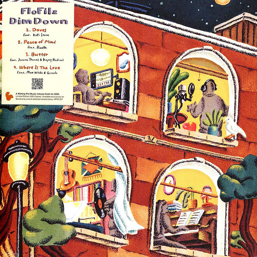 the album cover for Flofilz - Dim Down [Limited Edition]