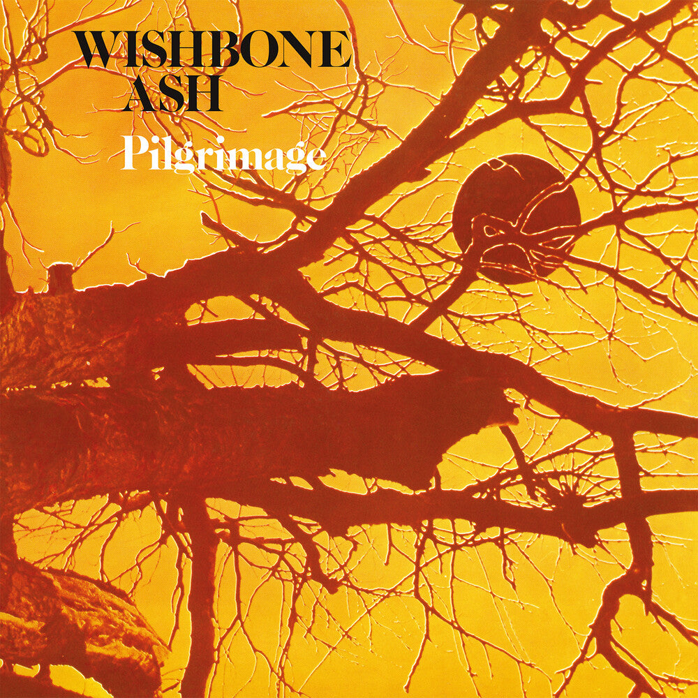 the album cover for Wishbone Ash - Pilgrimage [180 Gram] (Uk)