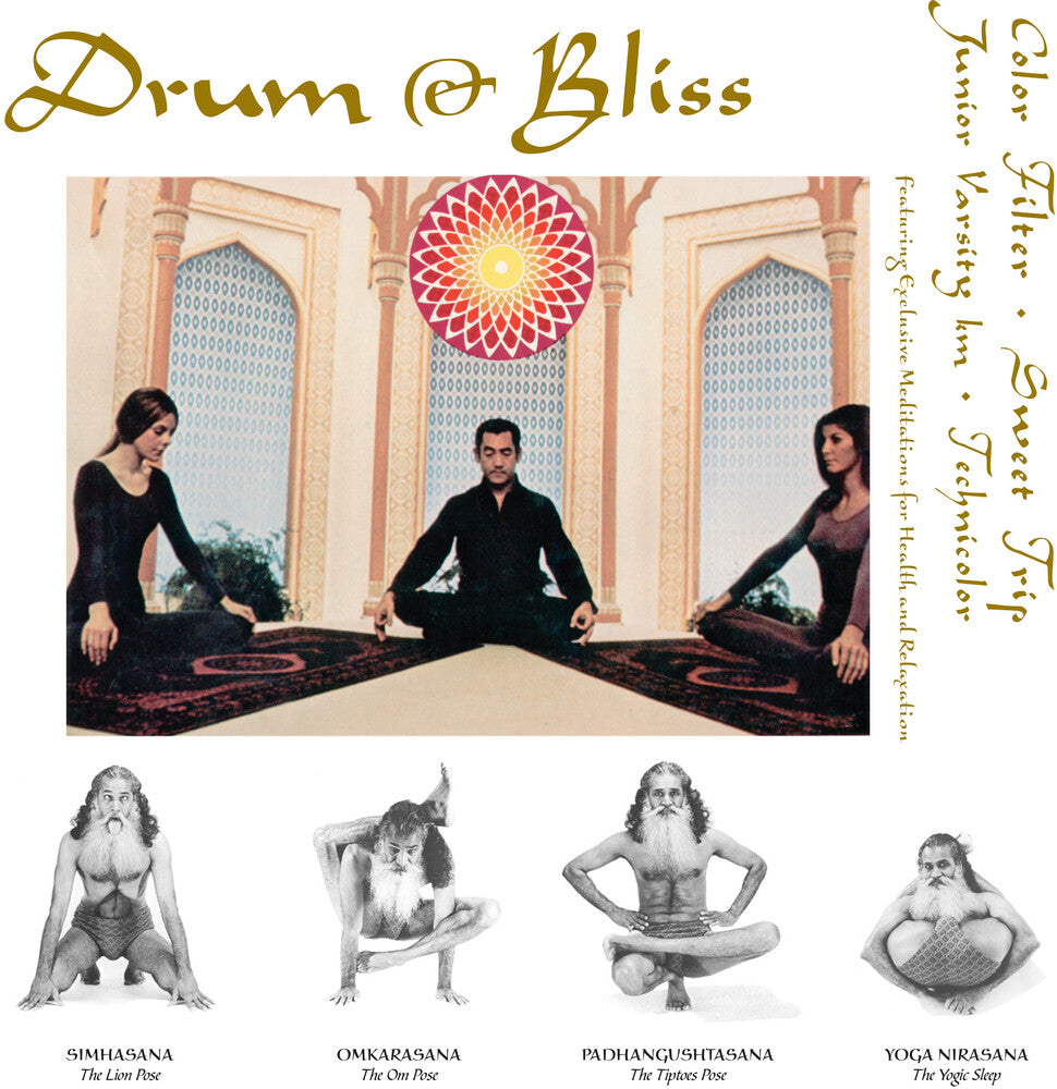 the album cover for Various Artists - Drum & Bliss [Colored Vinyl]