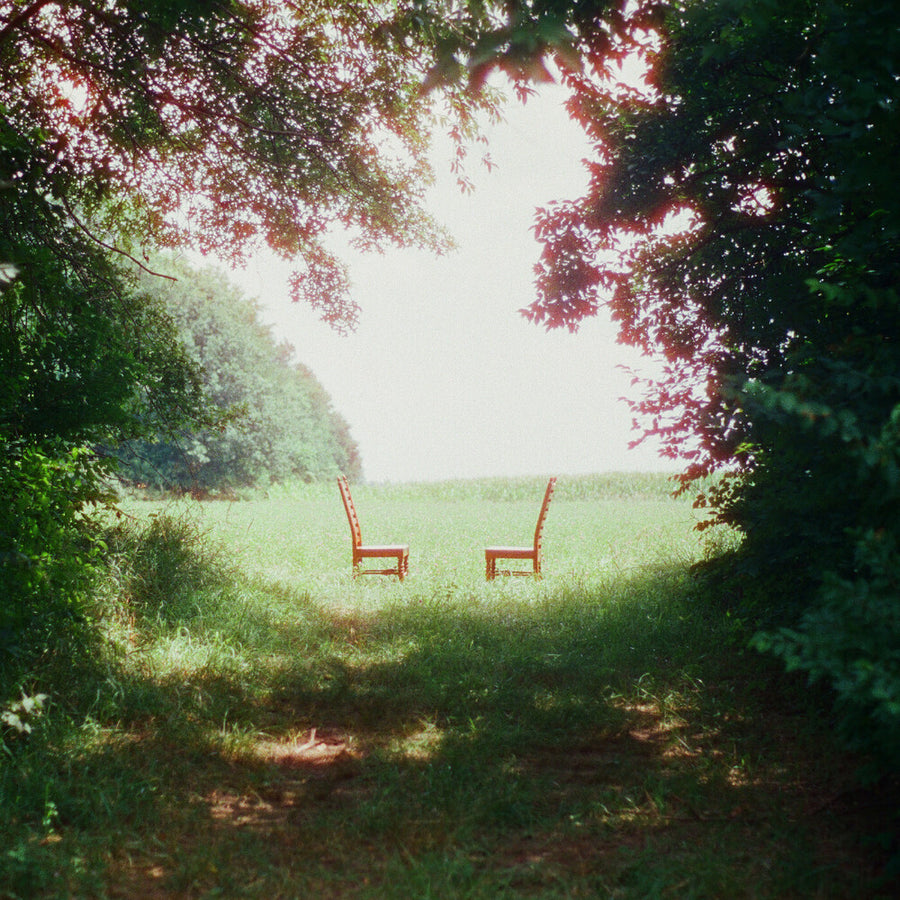 the album cover for Ratboys - Singin' to an Empty Chair [Indie Exclusive Brown and Green Marbled]