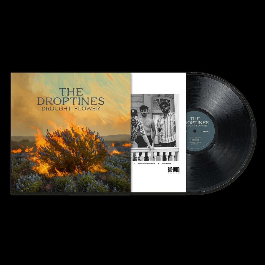 the album cover for Droptines - Drought Flower