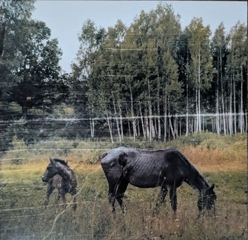 Old Pride - Pianos Become The Teeth