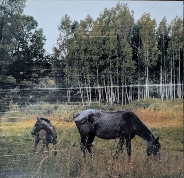 Old Pride - Pianos Become The Teeth